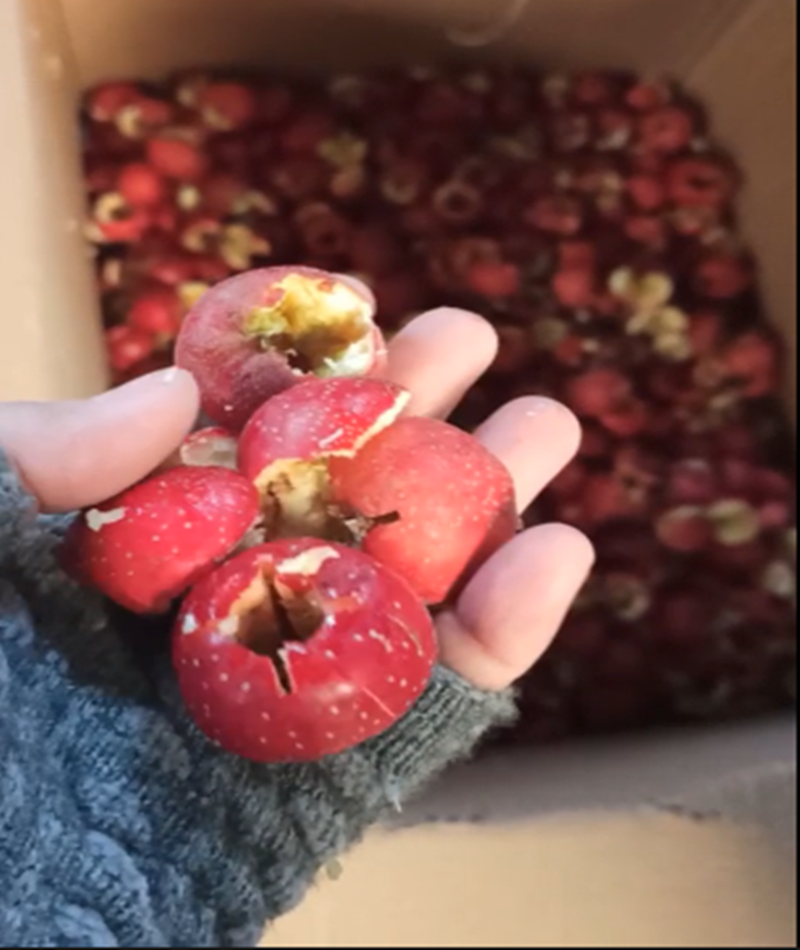 山楂、青梅去核機(jī)